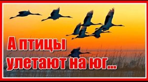 А птицы улетают улетают на юг...✦  Красивая песня о любви. Послушайте!