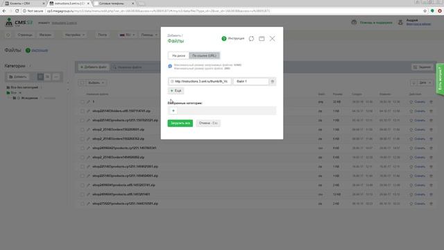 Добавление файла по URL CMS.S3 от Мегагрупп.ру смотреть онлайн