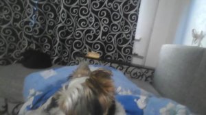 обзор на крутой брелок за 200 рубликов