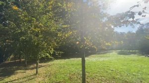 30-09-2024 Музей Валентина Александровича Серова "Усадьба Домотканово"🗺️