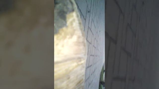 VLOG катаю на скейте смотреть онлайн