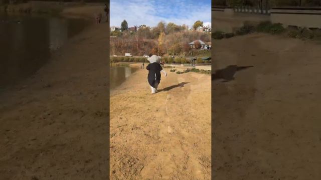 Один день из жизни очаровательного Мишки Тедди смотреть онлайн