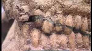 Галилео. Скелеты ☠ Skeleton