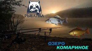 🐟Охота за Трофейным Серебряным Карасем, Русская Рыбалка 4, Russian Fishing 4