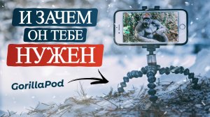 Лучший АКСЕССУАР для СМАРТФОНА | Обзор штатива Joby GripTight ONE GorillaPod