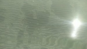 Аральское море