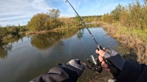 Осенний клёв: Успешно ловлю КАРАСЯ. ЖОР ОКУНЯ на Живописном озере! #мормышинг #рыбалка