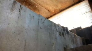 КУПИЛИ ДОМ В ДЕРЕВНЕ! СКОЛЬКО СЪЕДАЕТ ОДИН ПОРОСЁНОК ЗА 7 МЕСЯЦЕВ! КАК И ЧЕМ КОРМИТЬ?