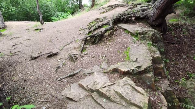 Природа, завораживающая мелодия. Челябинский Парк Гагарина.  Видео зарисовка. 18.09.2024г.