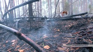 Спасти людей и защитить населенные пункты