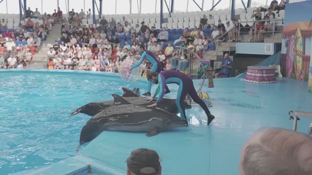 Сочи Парк, сентябрь 2024 года. смотреть онлайн