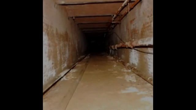 Самые жуткие заброшенные псих-больницы мира