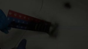 Икарус-293 (Советский автобус)