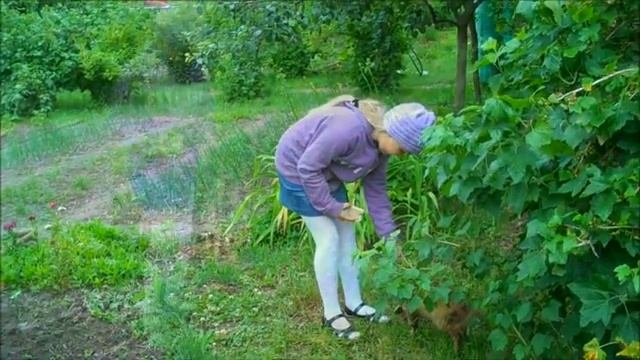 А У НАС ВО ДВОРЕ...КСЕНИЯ БОРУШКО.8 лет.