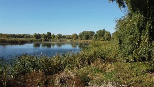 Урюпинск 2024 (р. Хопёр) смотреть онлайн