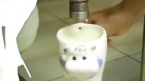 Галилео  Какая корова даёт соевое молоко?