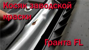 Косяк краски Гранта FL