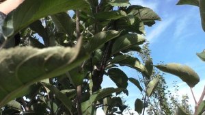 Я на даче 29.09.2024