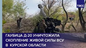 Гаубица Д-20 уничтожила скопление живой силы ВСУ в Курской области