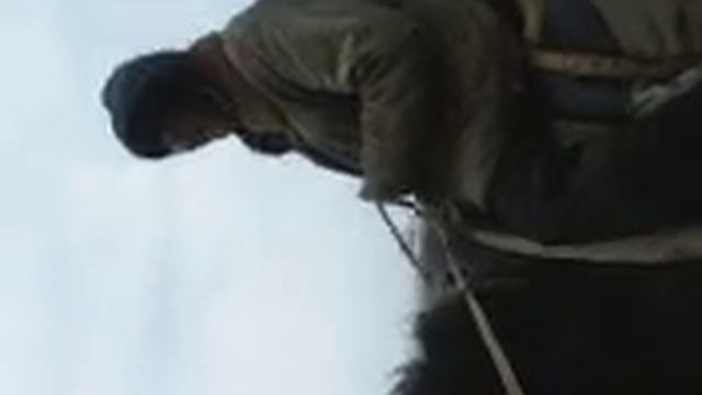 Малолетние Батраки пасут Коров цыганям в селе Лопанка (Скоробогат К) смотреть онлайн