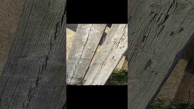 Серая хвойная амбарная доска