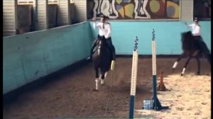 Галилео. Полицейские лошади (часть 2)