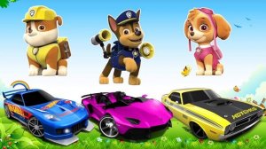 ЩЕНЯЧИЙ ПАТРУЛЬ и Hot Wheels / Хот Вилс - НОВАЯ ИГРА! Развивающее видео для детей