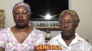 TCC - Luíza de Fátima Santiago de  Assis & Vera Santiago de Assis