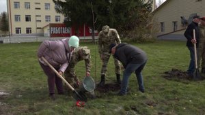Аллею героев высадили в День сил специального назначения Росгвардии