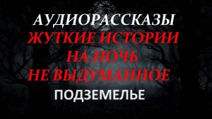 СТРАШНЫЕ РАССКАЗЫ НА НОЧЬ-ПОДЗЕМЕЛЬЕ