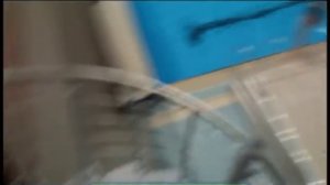 Галилео. Синхронное плавание