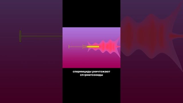 Как действуют контрацептивы?