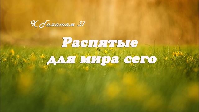 31. РАСПЯТЫЕ ДЛЯ МИРА СЕГО_к Галатам, пастор Ли Ги Тэк церковь "Сонрак" Миссионерский центр "Сонрак"