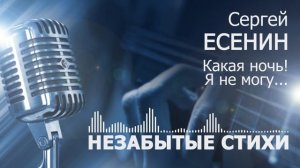 Есенин Какая ночь я не могу