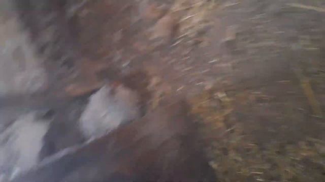 12й день. Завершающий выпуск.🙃 смотреть онлайн