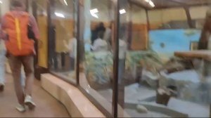 Платон в зоопарке 2