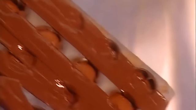 Галилео  Бельгийские шоколадные конфеты с пралине