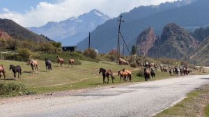 КЛП в Кыргызстане