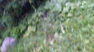 Призрак в подвале!