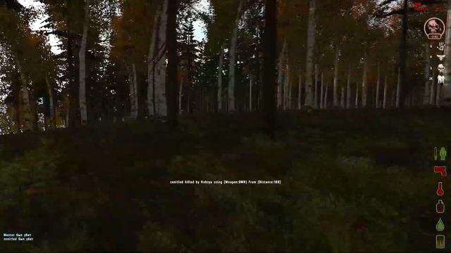 Моменты is DayZ [3] смотреть онлайн