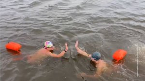 В Ярославле стартовал марафонский заплыв