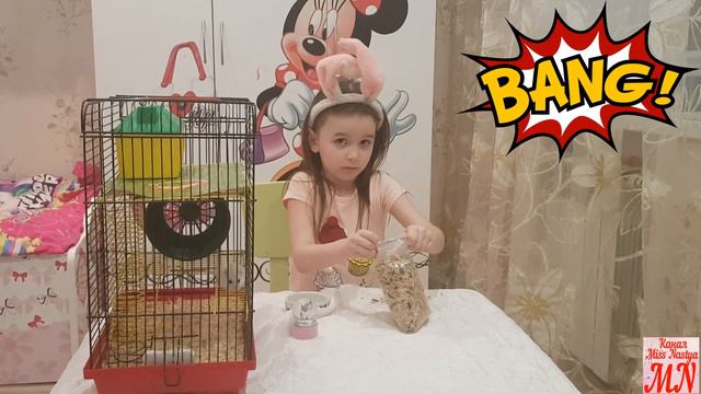 ОТКУДА ПОЯВИЛСЯ ХОМЯК...? Настя и её питомец Пушинка| Обзор жизни хомяка! Канал Miss Nastya| смотреть онлайн