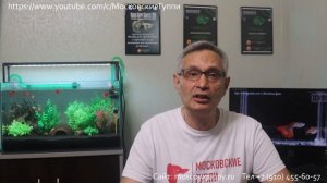 КАЧЕСТВО ВОДЫ ДЛЯ АКВАРИУМА С ГУППИ / WATER QUALITY FOR AQUARIUM WITH GUPPIES