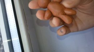 Мини-"реборн". Продажа.