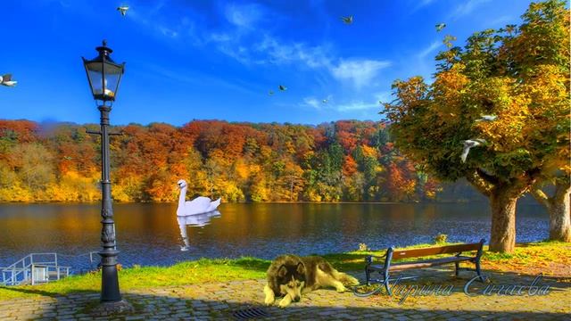 футаж осень смотреть онлайн