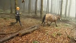 Галилео Современные отшельники
