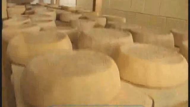 Галилео. Сырная ферма