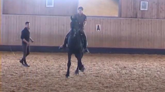 Friesenhengst Wietse B. Lehrgang bei Karlheinz Grundler friesen-show-time.de смотреть онлайн