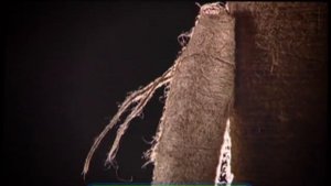 Галилео. Брезент