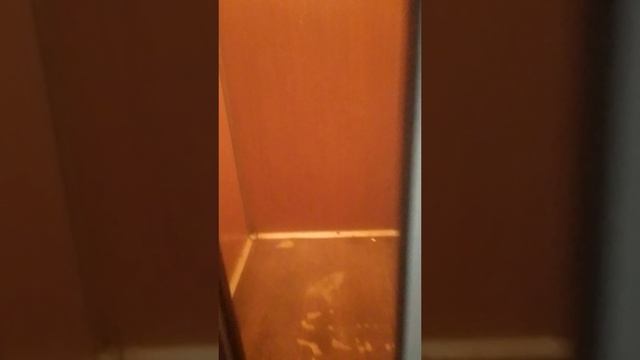 Лифт веселья в реальной жизни смотреть онлайн